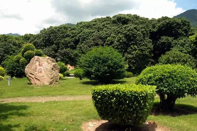 福州职业技术学院，这下要在全国出名了！