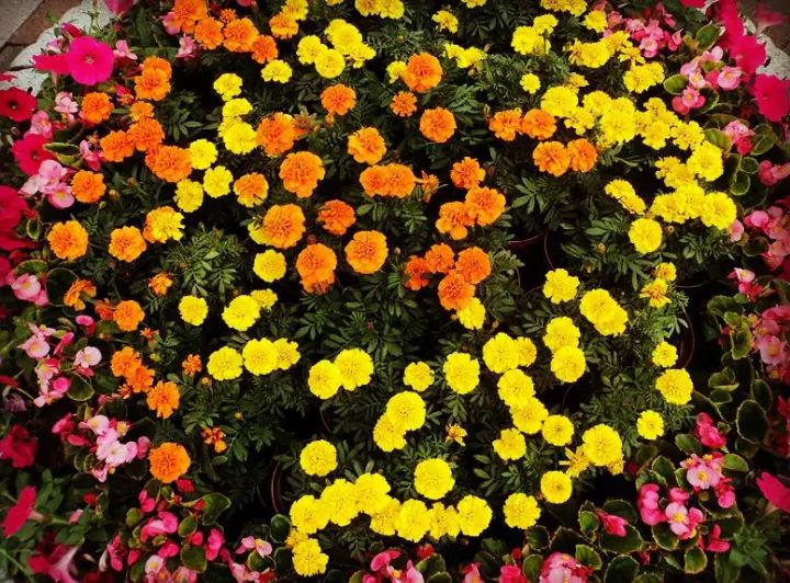 福州职业技术学院，这下要在全国出名了！