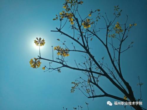福州职业技术学院，这下要在全国出名了！