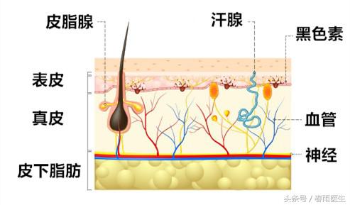 暖宝宝御寒适合所有人？不，这5类人千万要谨慎使用暖宝宝！