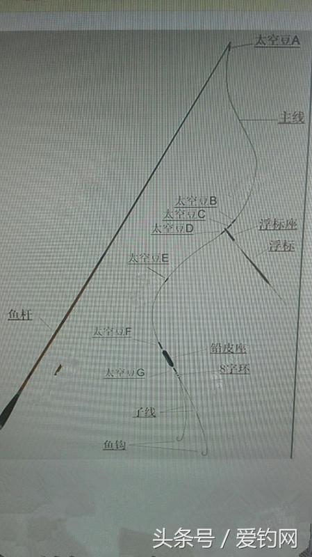 学会绑钩+饵料制作，钓鱼走遍天下都不怕！