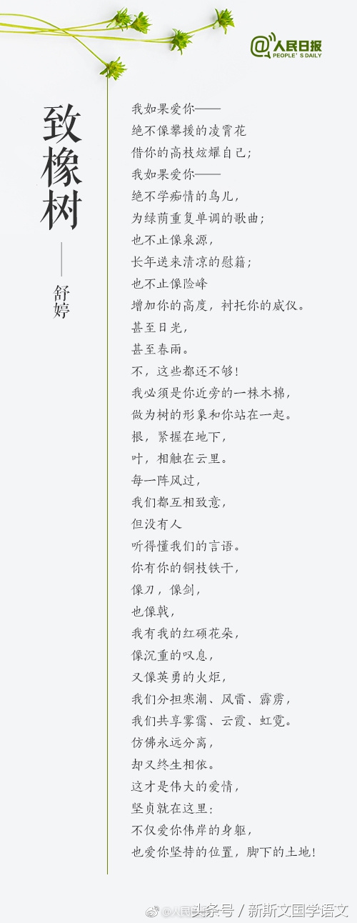 14首经典现代诗，带你重温诗歌之美