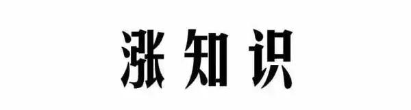 清子阚清子怎么读（这些难念的明星名字你会读几个）