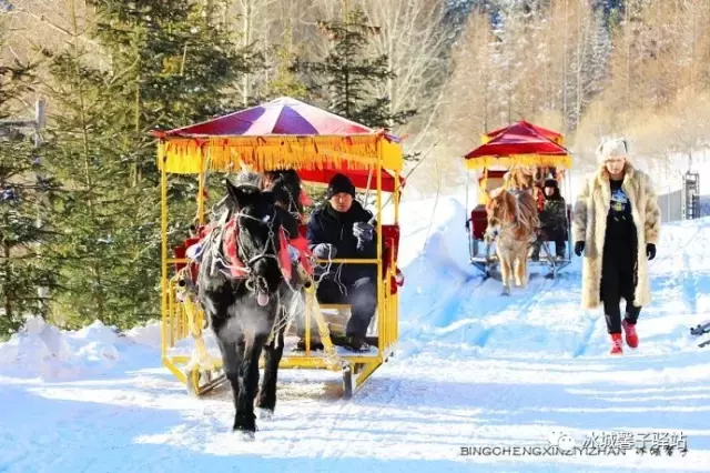 有一个童话叫雪乡，有一个梦想在雪乡