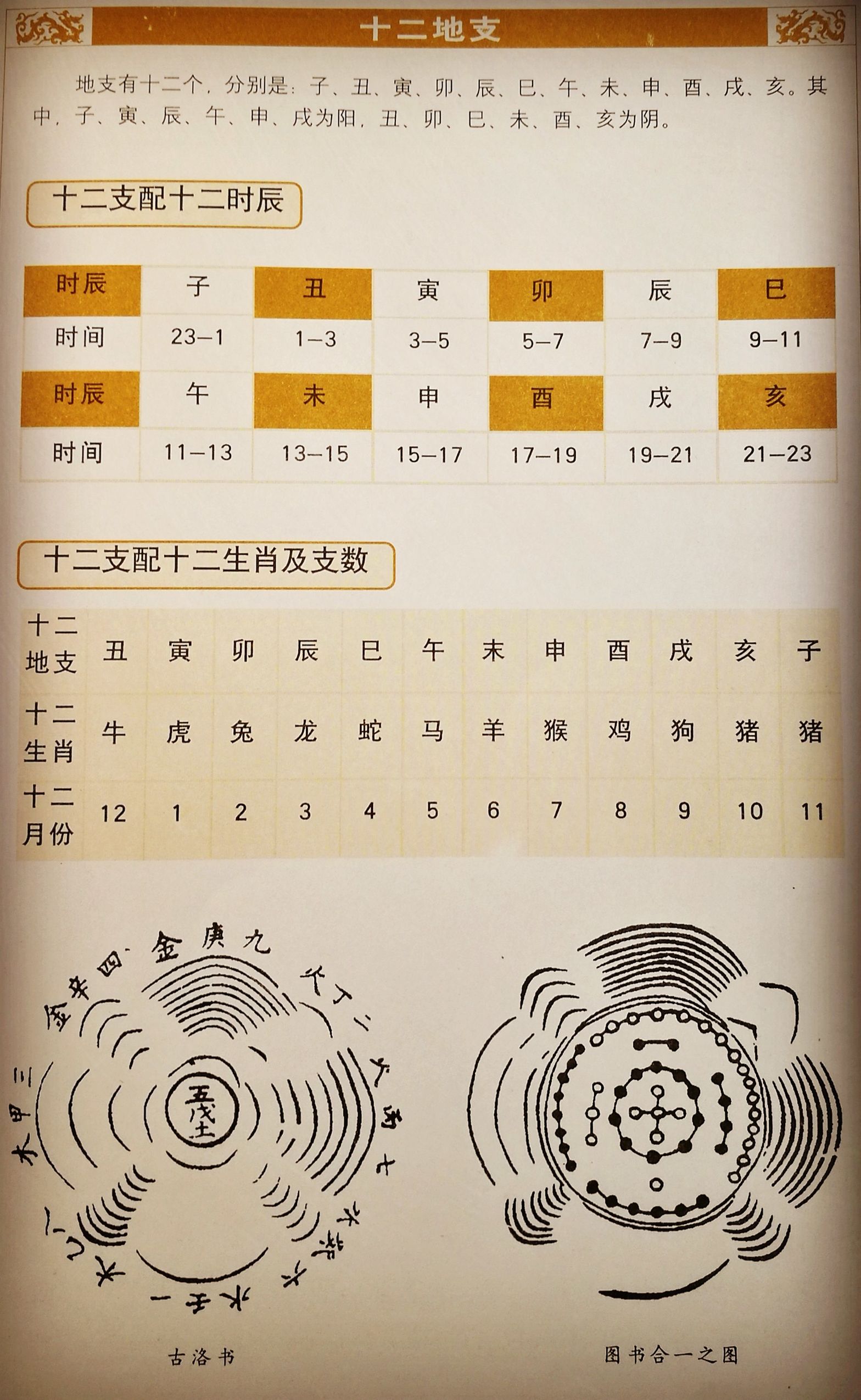 最直观、最实用的十天干与十二地支科普常识，值得收藏呵！