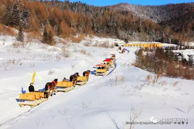 有一个童话叫雪乡，有一个梦想在雪乡