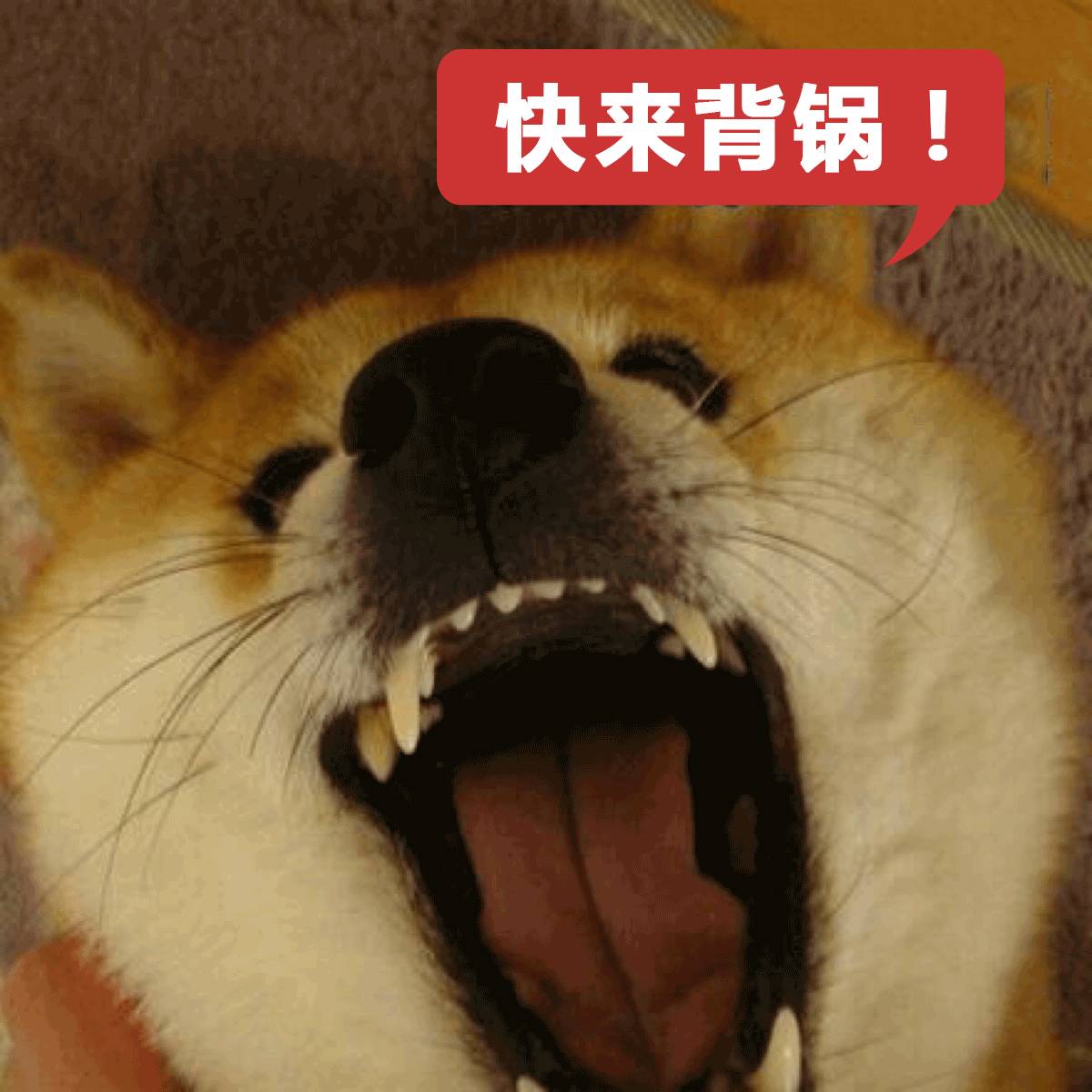 替罪羊的意思,替罪羊的意思解釋