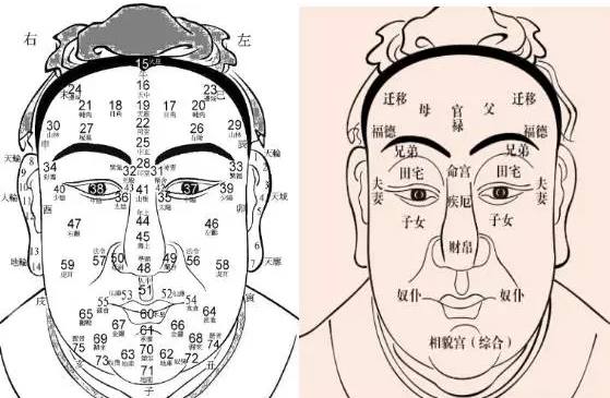 婚姻线岛纹和川字掌代表什么？