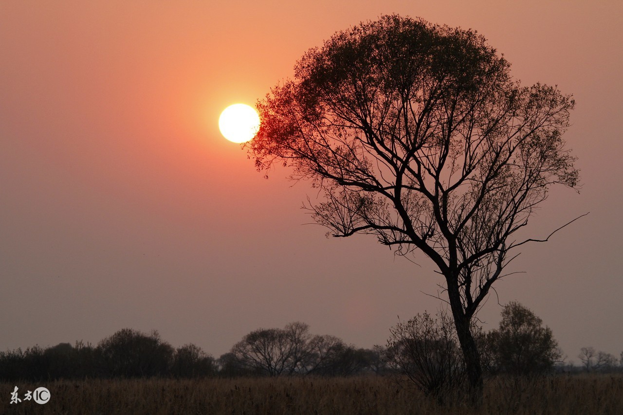 小学语文难点：关联词的正确使用及专项练习