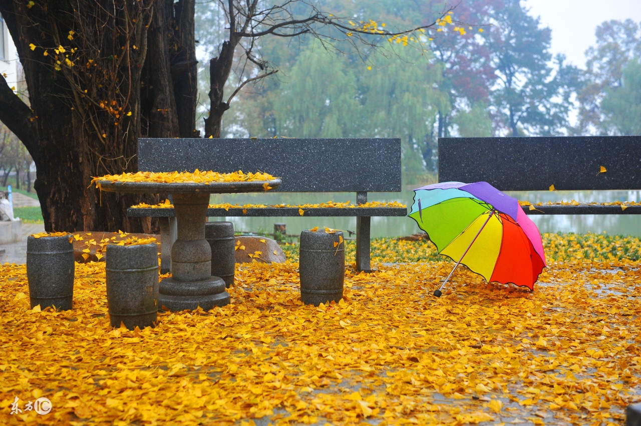 小学语文难点：关联词的正确使用及专项练习