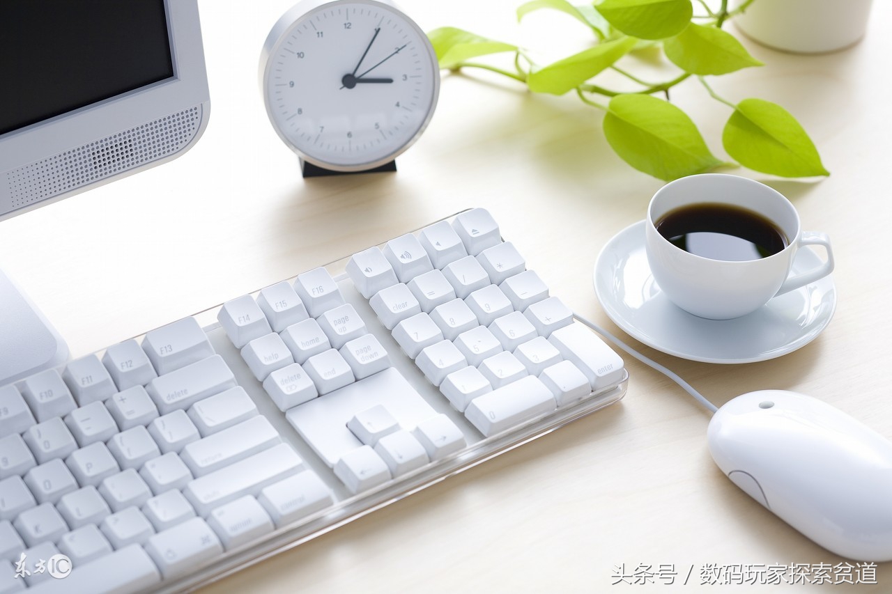 1000块钱3个月包你上手 100%零基础学习电脑入门指南