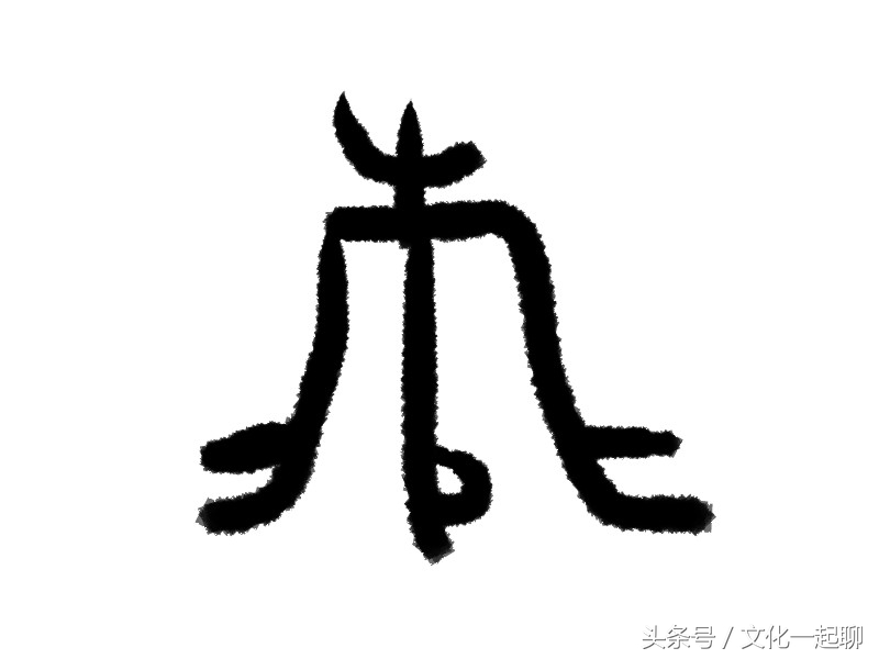 “飞”字为什么这么写，古汉字的演变很有意思