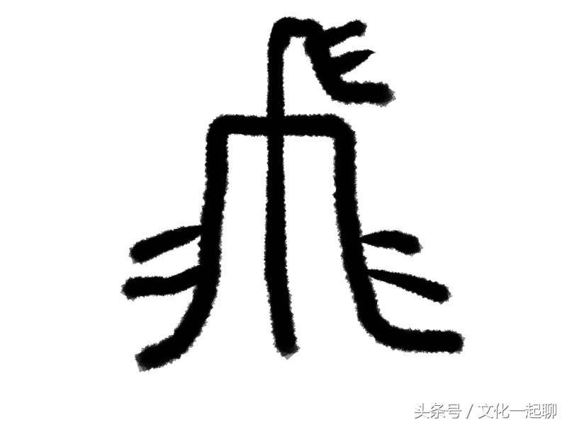 “飞”字为什么这么写，古汉字的演变很有意思