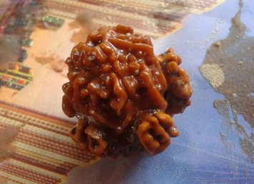 真假难辨——图说各种假金刚菩提子