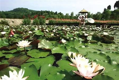 卧佛镇地处潼南区.