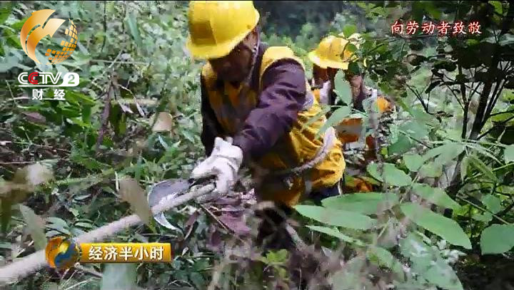 转起！劳动节，向工作在一线的人们致敬...