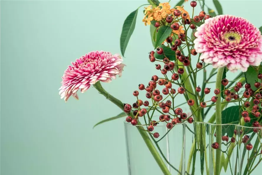 淡雅花艺，岁月静好——最美插花艺术展