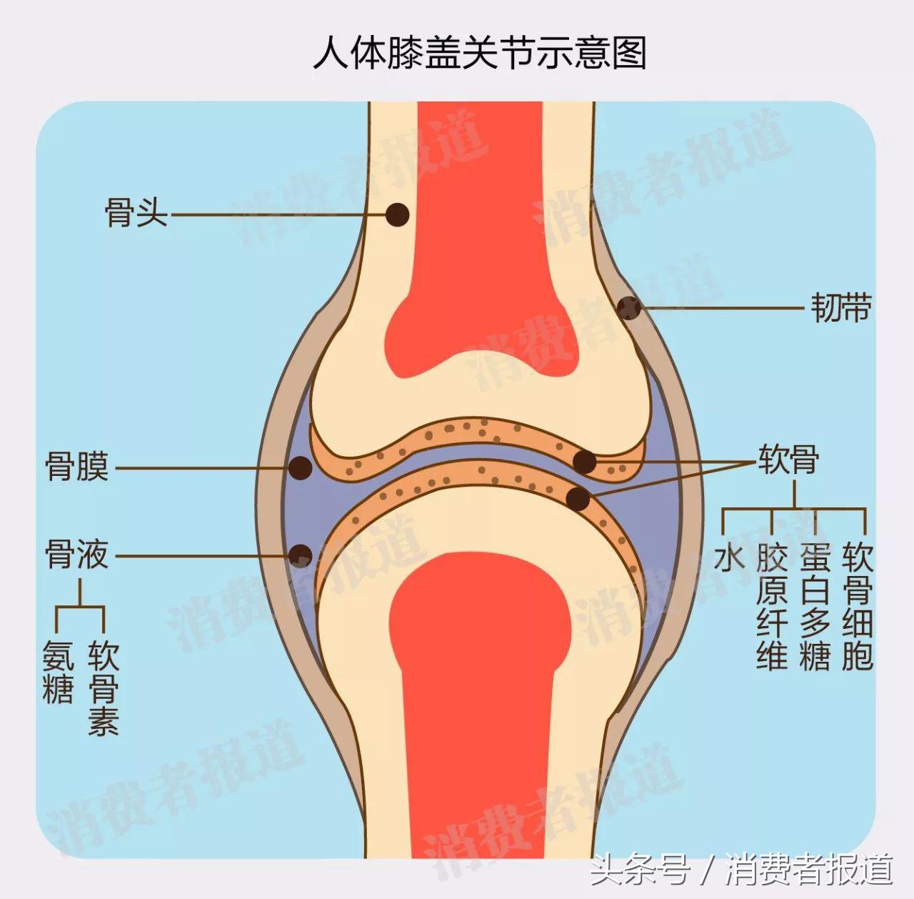 如何保护你的骨关节？这篇文章请好好收藏！