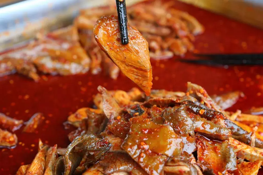 自驾路线:成都-成温邛高速-邛崃北/桑园出口下-临邛古城平乐古镇平乐