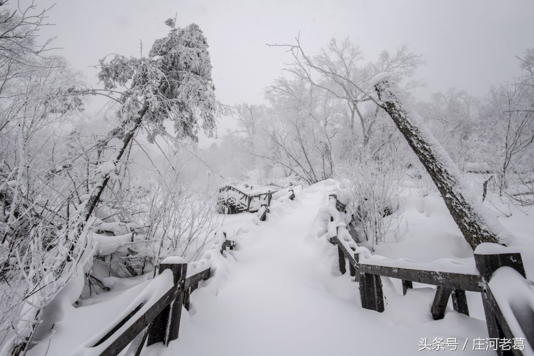 冰雪十里画廊好玩吗_东北十里画廊冰雪之旅 密云旅游