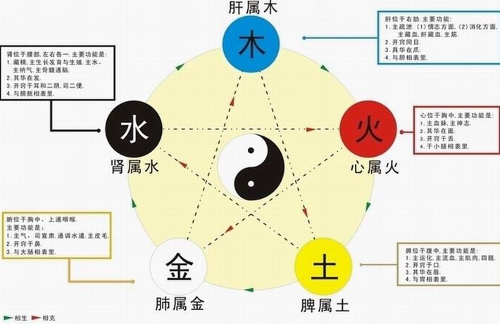 四柱预测，基础教学之五行的生克