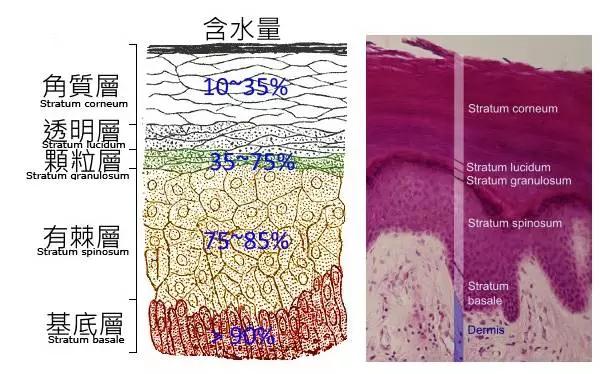 「宝碧泉」玻尿酸焕活青春蚕丝面膜