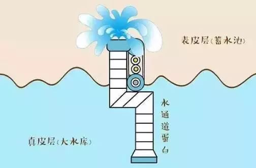 「宝碧泉」玻尿酸焕活青春蚕丝面膜