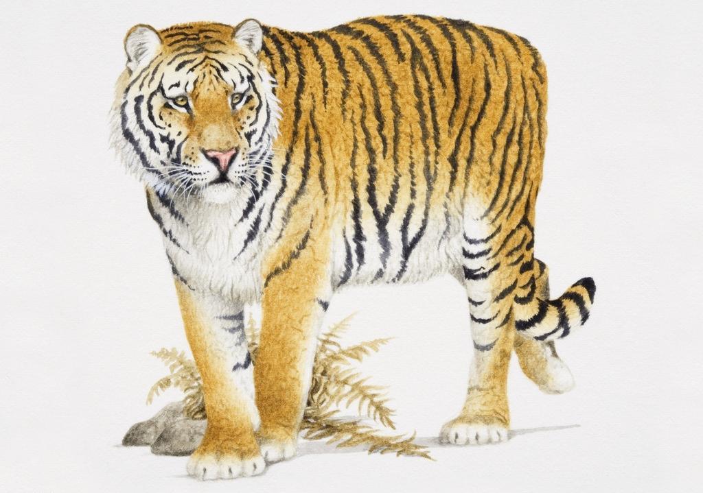 7)兔马羊本周要开心的笑了