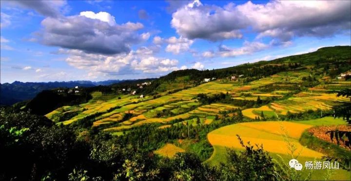 凤山县隶属广西壮族自治区河池市,因"环山似凤,环凤皆山"而得名.