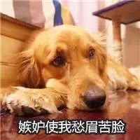 又要放假了！湖北某高校51天超长寒假……江夏小伙伴悲剧了……