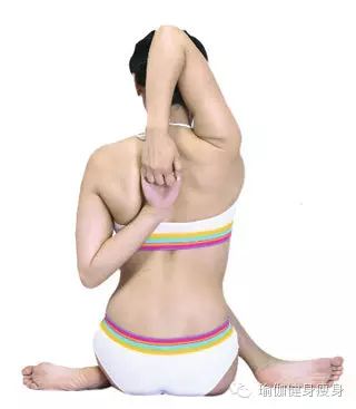 四式美胸瑜伽 塑造胸部优美线条