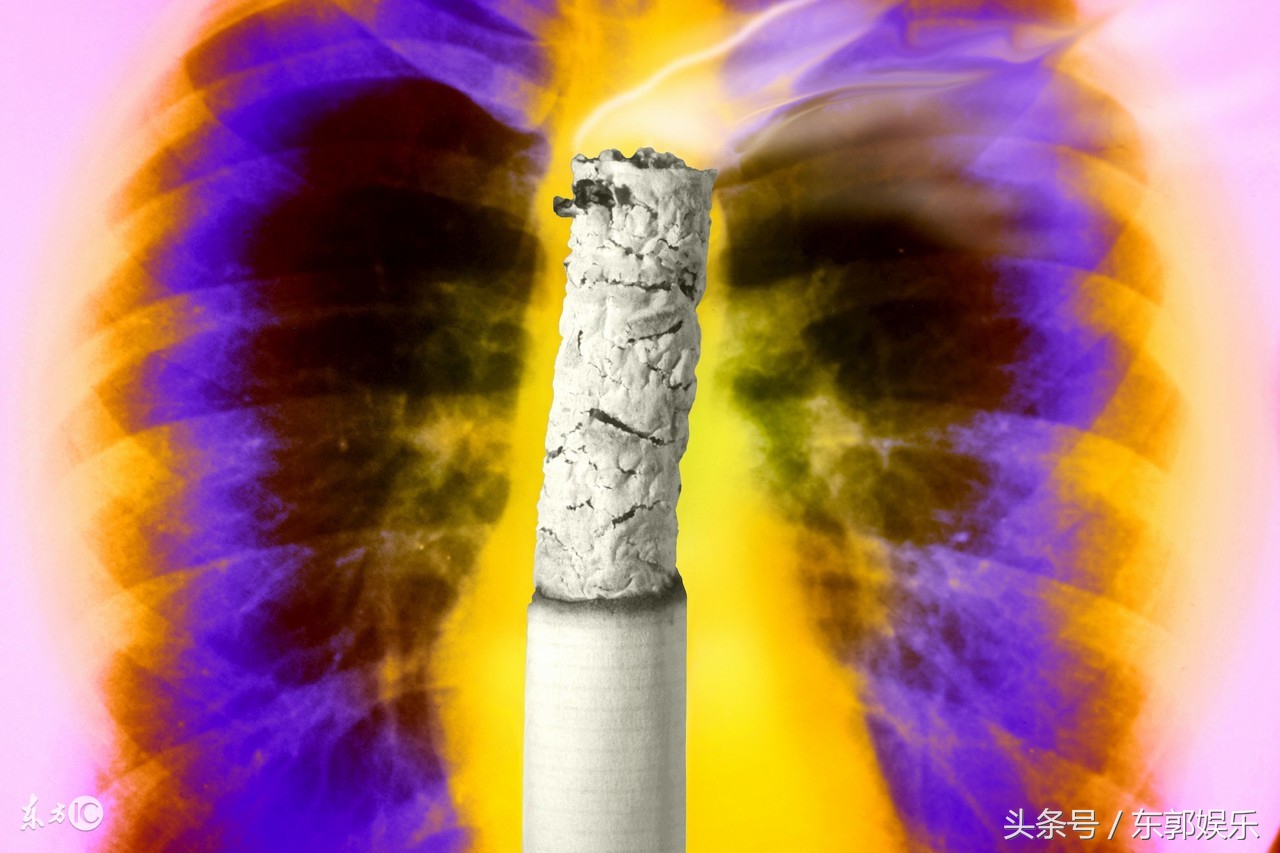 你二十二岁之前就应该知道的冷门知识（第六部）