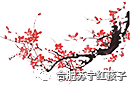 合肥苏宁红孩子新春会员座谈会，诚挚邀请您的参加！