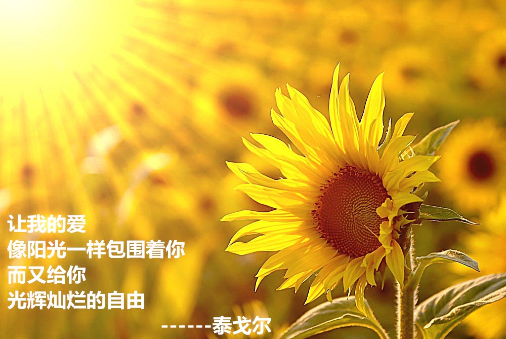 什么样的孩子最爱吃手指？