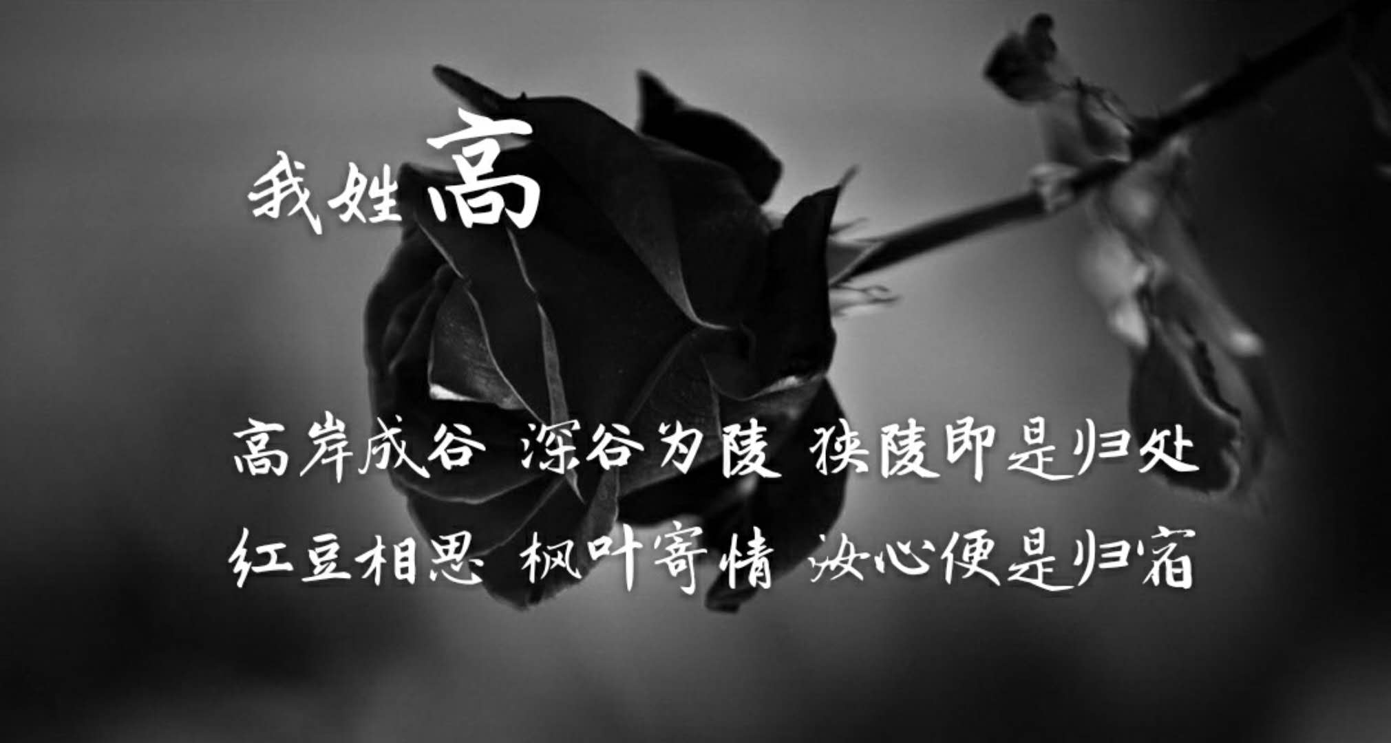 每一个姓氏,都有一句情话(暖心系大全)