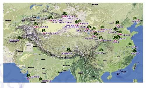 净宗学院（趣说科学学佛）