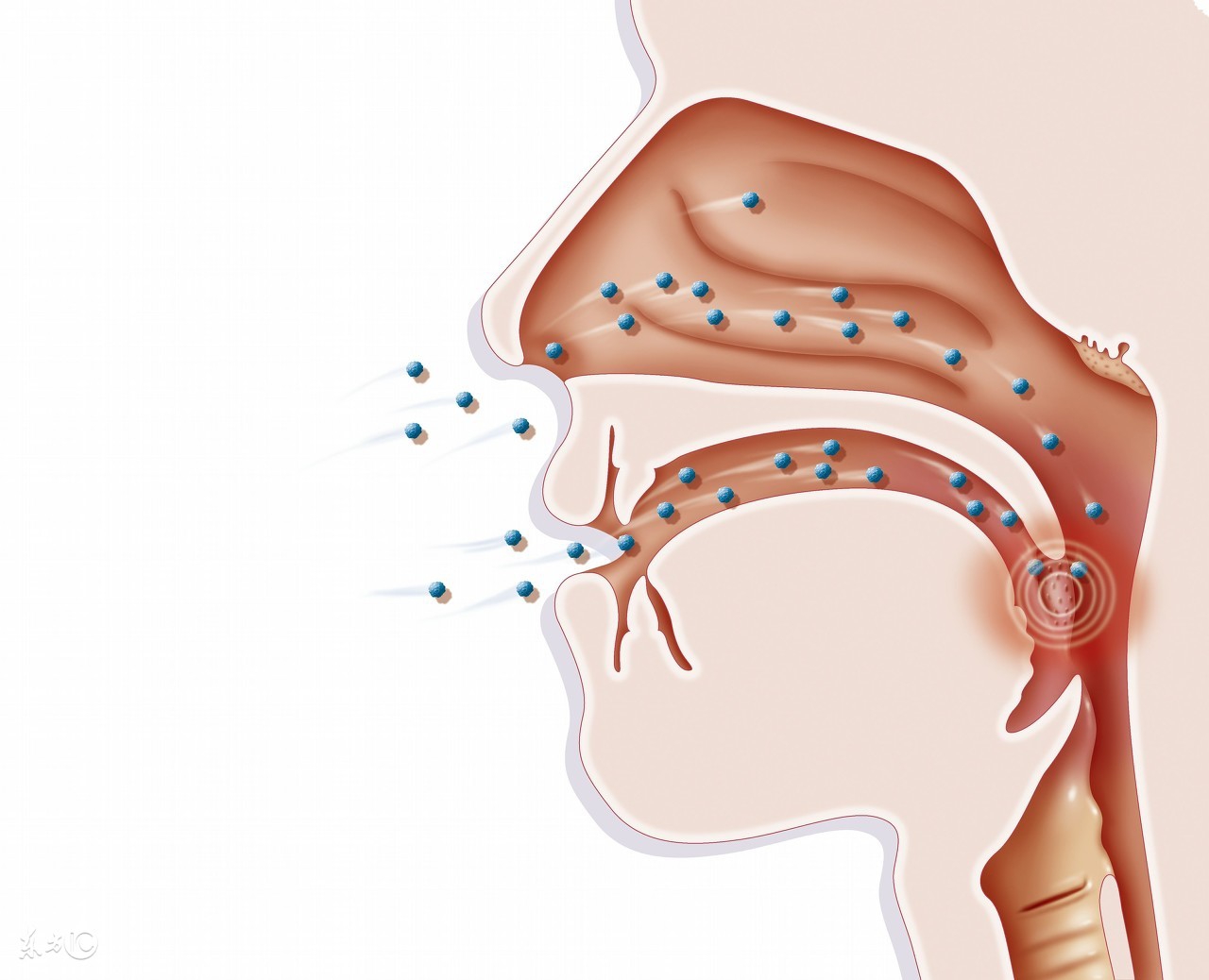 小康说药：扁桃体为什么会发炎？可以吃哪些药物治疗？