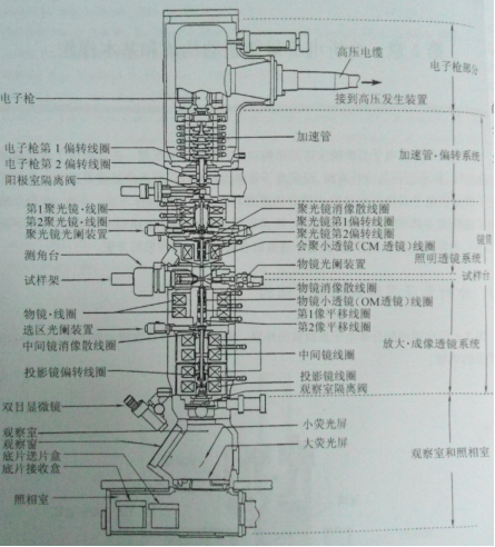 透射电子显微镜（TEM）的基本结构及成像原理认知实验