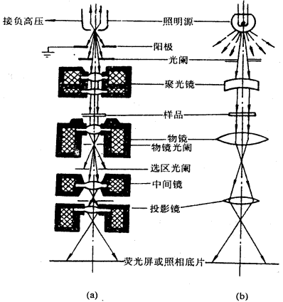 透射电子显微镜（TEM）的基本结构及成像原理认知实验