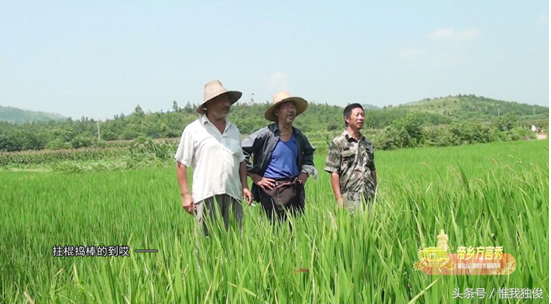 随县民间歌谣序 聆听那支遥远的歌（上）