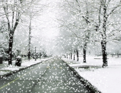 「原创」冬之贴｜李蓓