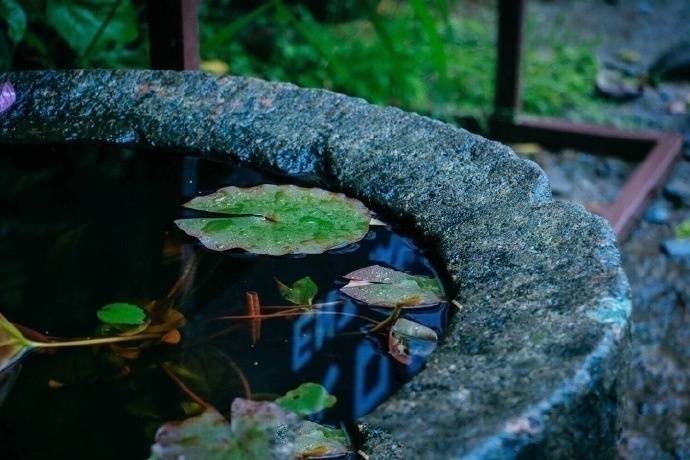 它蕴含古诗"清晨入古寺，初日照高林"的韵味 去体验灵隐寺之旅