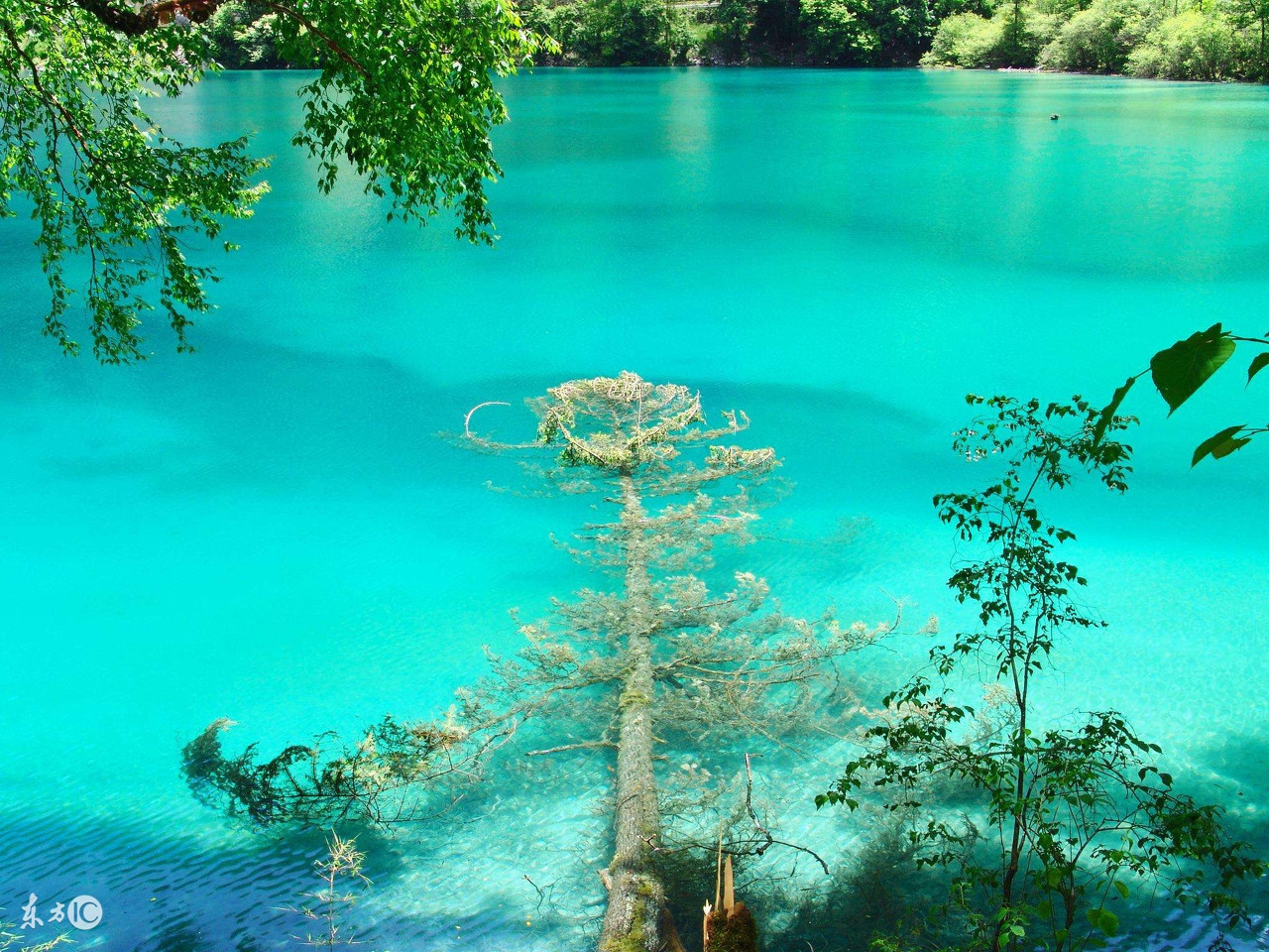 2017年四川省高校大全、改名前后、调档线——建议收藏！