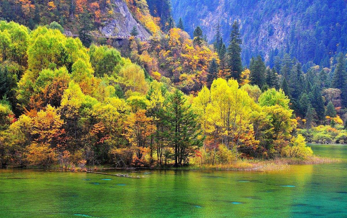 中国世界自然遗产全名录:这12个最美景区,去过5个就是旅行达人