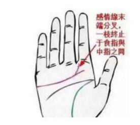 男人“极其辛苦”的手纹，赚一分花一分，到老都毫无存款