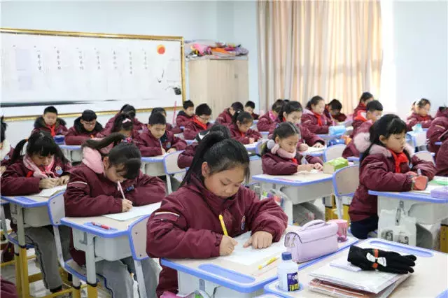 量身定制、聚焦核心素养，卓同国际小学特色课程大验收完美收官！