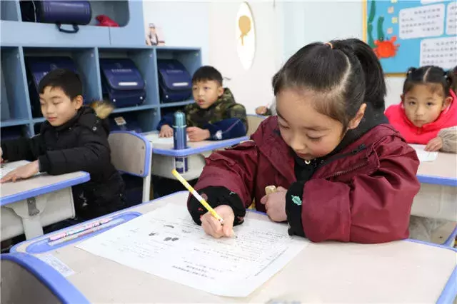 量身定制、聚焦核心素养，卓同国际小学特色课程大验收完美收官！