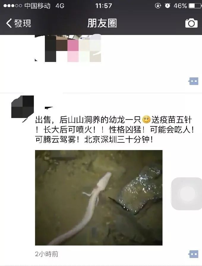 枝吻纽虫(科普：那些在微博、朋友圈长盛不衰的奇异生物)