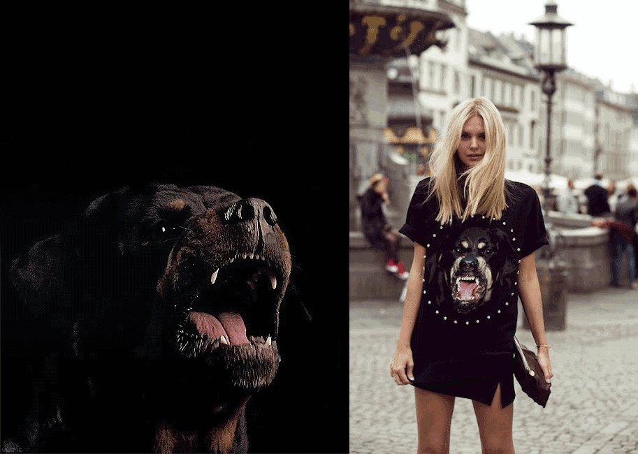 参考价格:￥3,200可购于gucci官网givenchy的恶犬系列,今年不用蹭就在