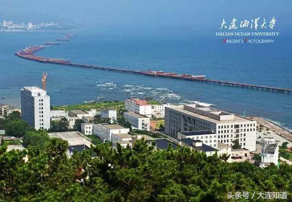 2018大连高校排行榜发布！你的学校在吗？
